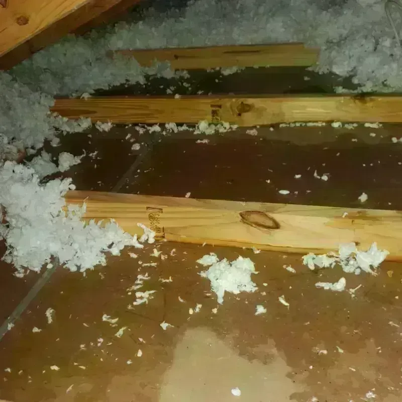 Attic Water Damage in Columbus, GA