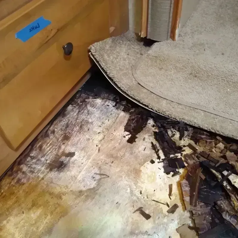 Wood Floor Water Damage in Columbus, GA